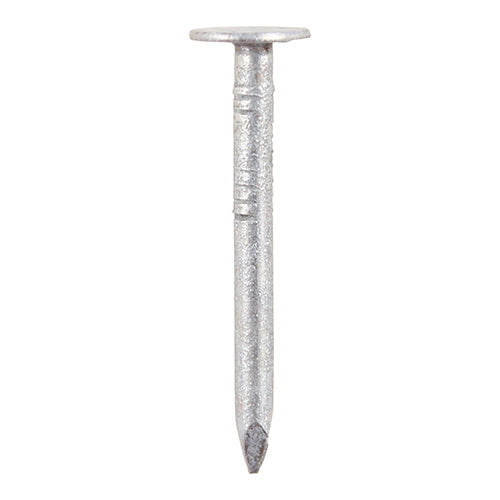 30mm x 2.65mm Clout Nails - Galvanised